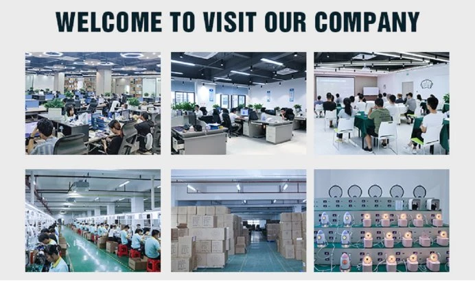 Shenzhen Weite Shijia Technology Co., Ltd.